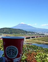 Fuji4.jpg